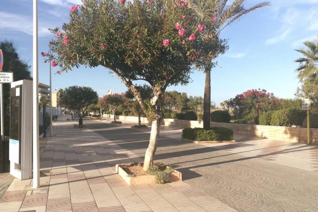Apartament Apartamentofamiliar, Playa, Wifi, Piscina *